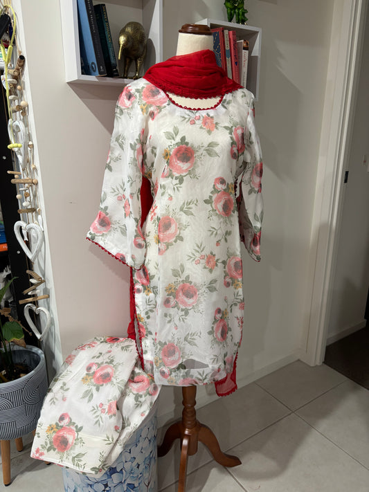 Soft Organza Farshi Salwar Suit