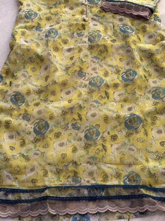 Classic Organza Salwar Suit