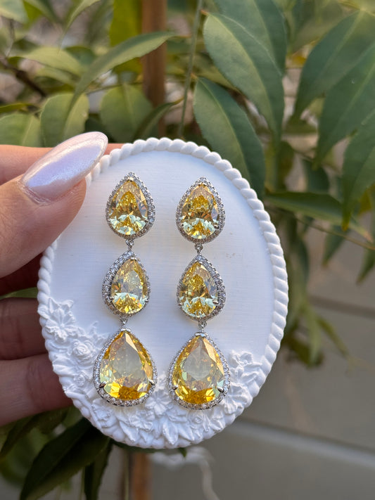 FMC1423 - WGP Drop Earrings