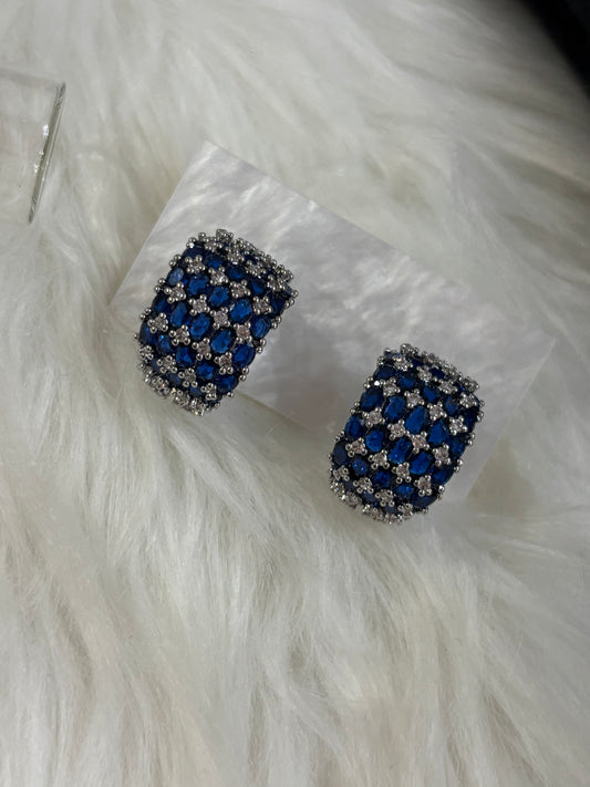 FMC1220 - WGP Hoops Earrings