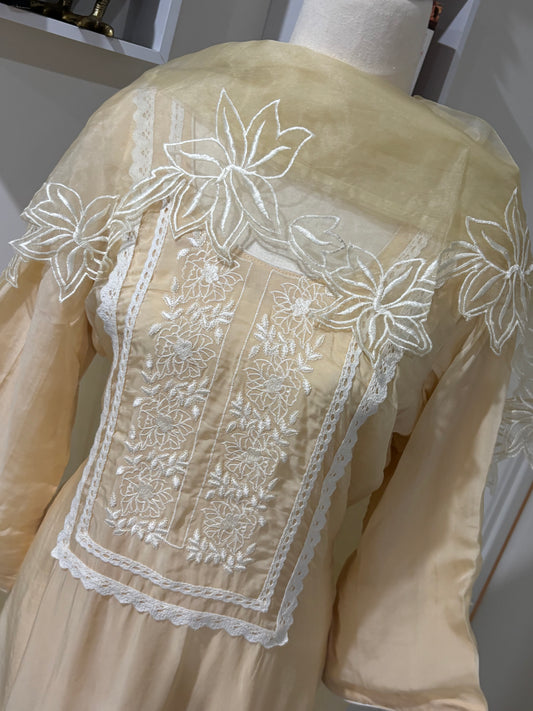 Organza Embroidered Salwar Suit