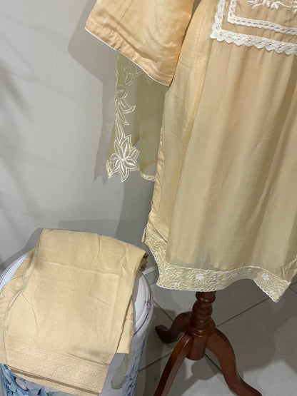 Organza Embroidered Salwar Suit