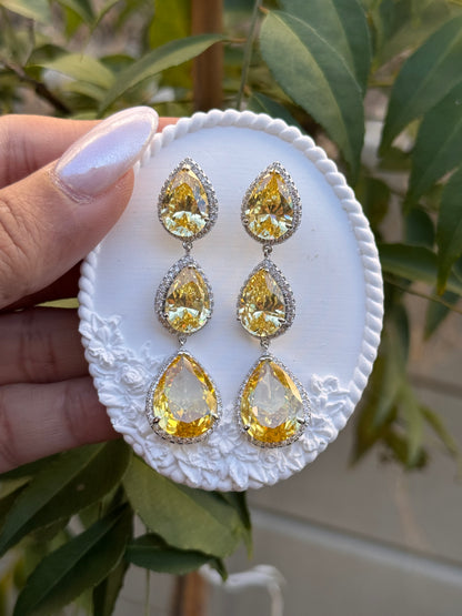 FMC1423 - WGP Drop Earrings