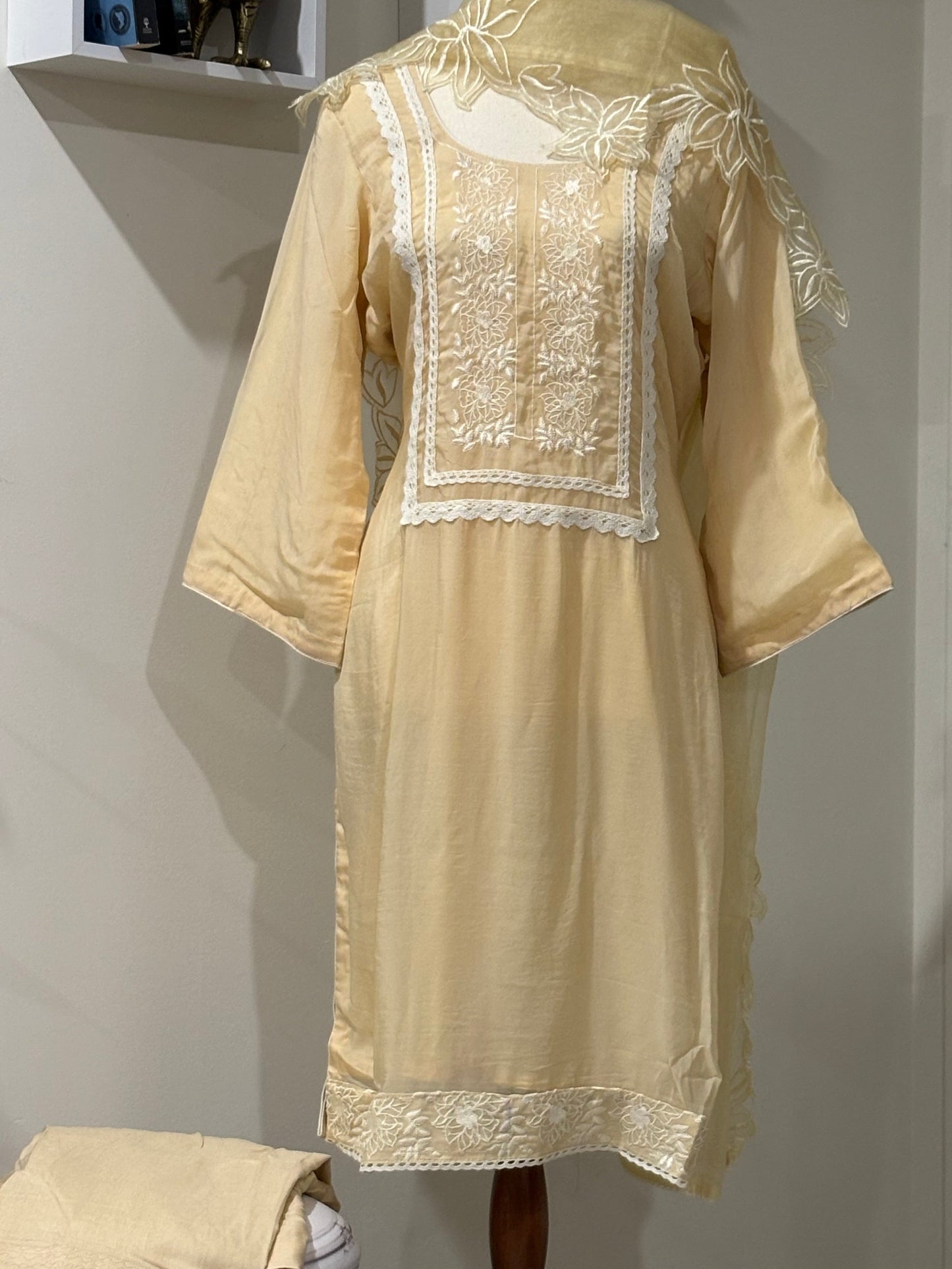Organza Embroidered Salwar Suit