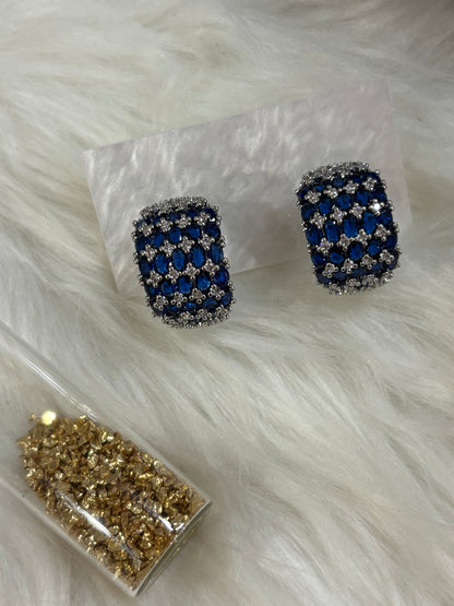 FMC1220 - WGP Hoops Earrings