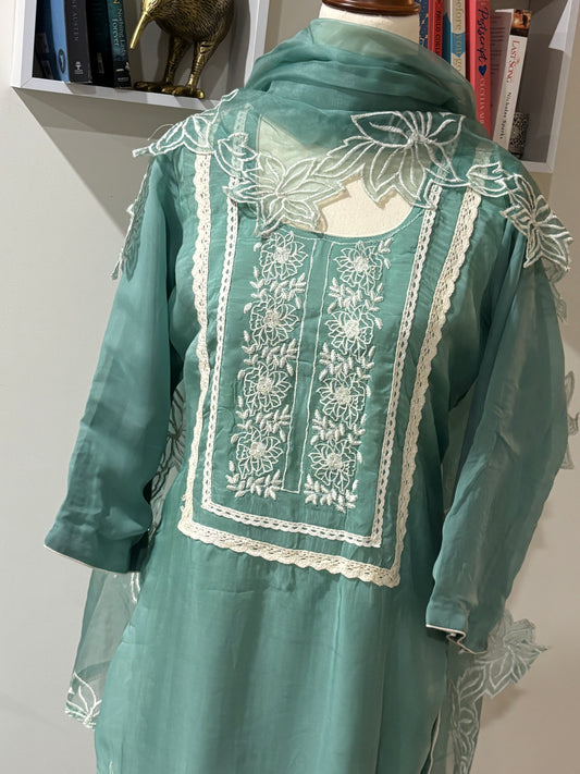 Organza Embroidered Salwar Suit