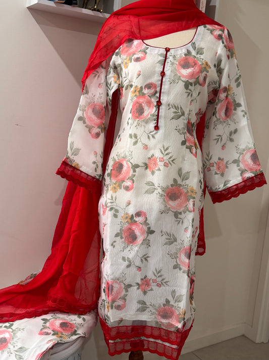 Soft Organza Salwar Suit