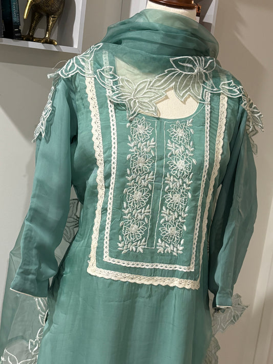Organza Embroidered Salwar Suit