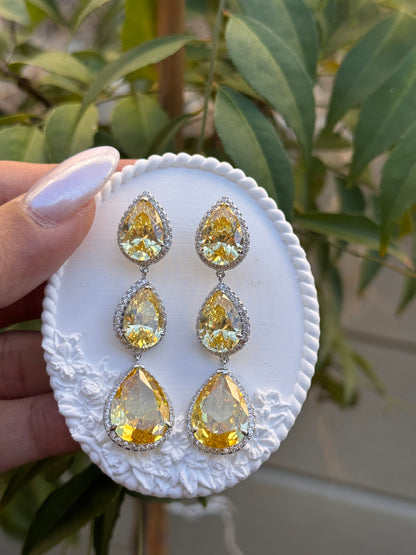 FMC1423 - WGP Drop Earrings