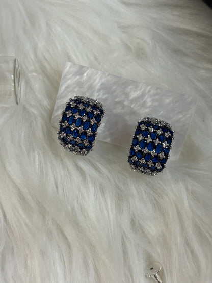 FMC1220 - WGP Hoops Earrings