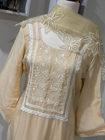 Organza Embroidered Salwar Suit