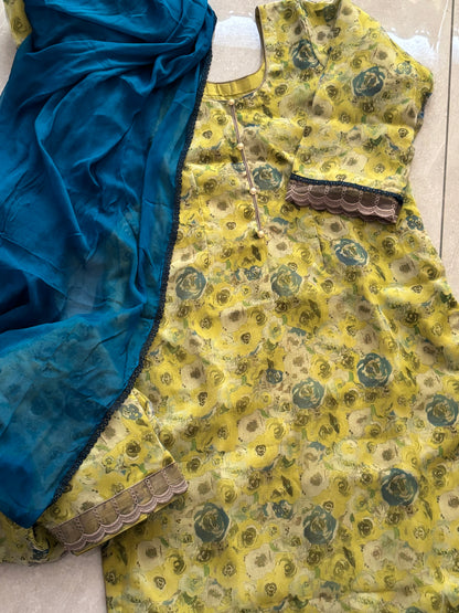 Classic Organza Green Salwar Suit