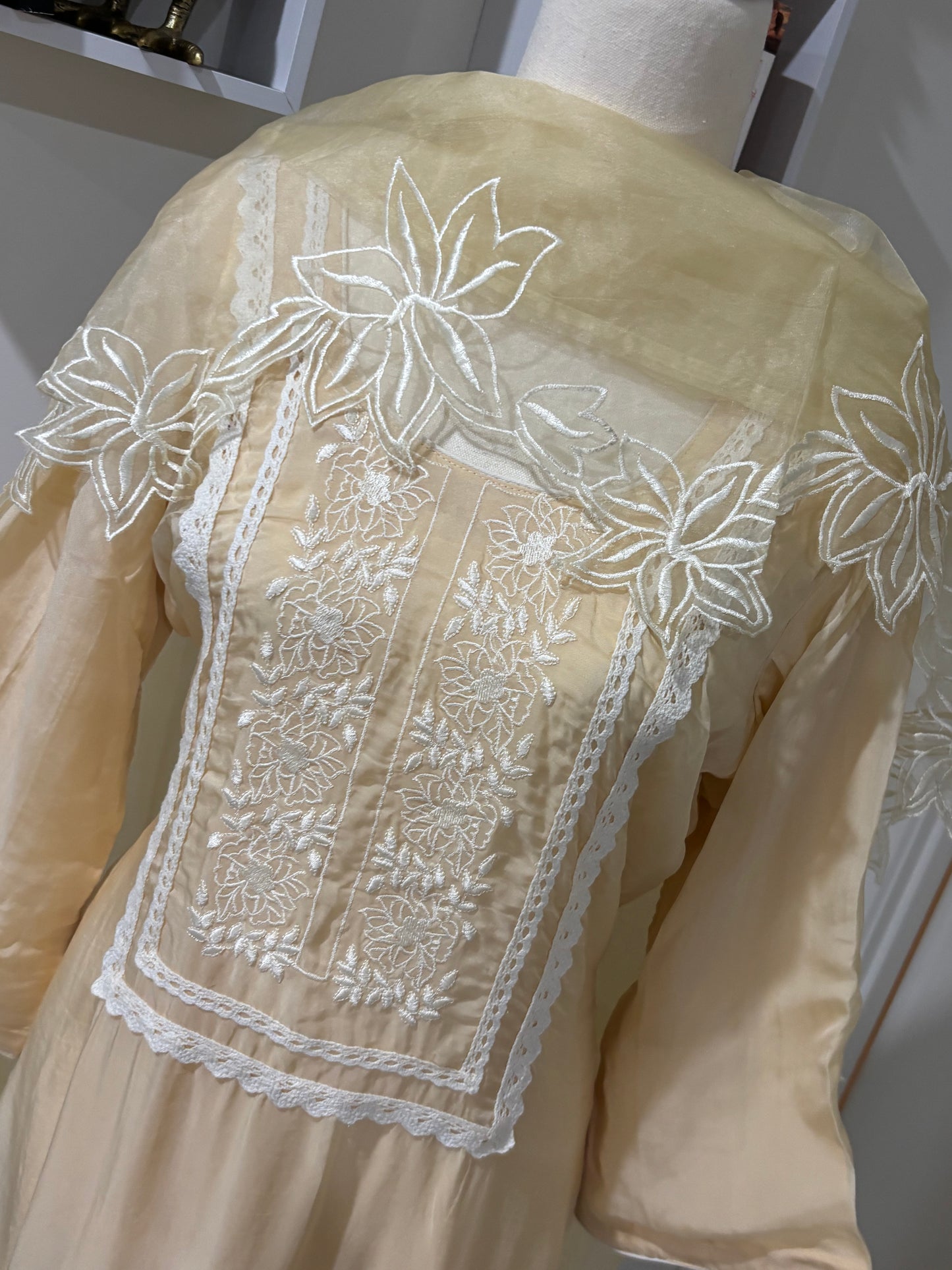 Organza Embroidered Salwar Suit